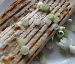 quesadilla